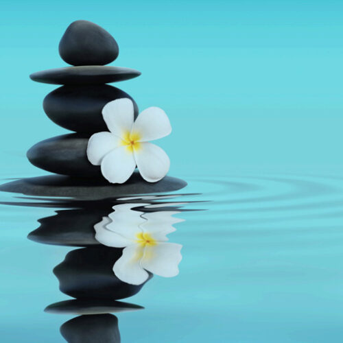 The Power of Mindfulness